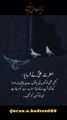 Baton sy Pareshan na Hona | Quran.o.Hadees | #islamicvideo #fyp #trending