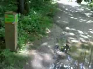 balade en dirt full power
