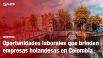 Oportunidades laborales y beneficios que brindan empresas holandesas en Colombia | Pulzo