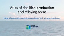 Atlas of shellfish production and relaying areas : Presentation  (English version)