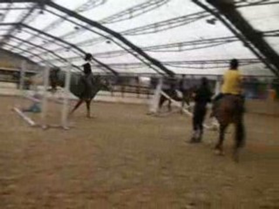 Saut d'obstacles avec Odiane