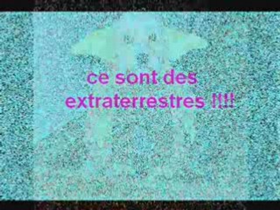 Nos amis les animaux
