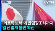 ’희토류 보복’에 반도체 소재 반덤핑조사까지...일 산업계 불안 확산 / YTN