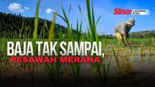 [LAPORAN KHAS] 'Ada masa baja tak sampai-sampai'