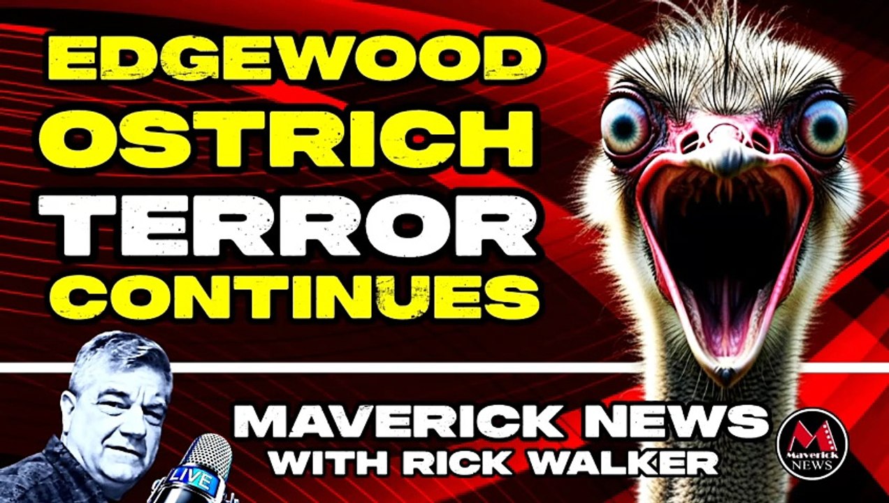 Ostrich Terror Continues - Edgewood Residents Break Silence with Ostrich Cull Horror Truth