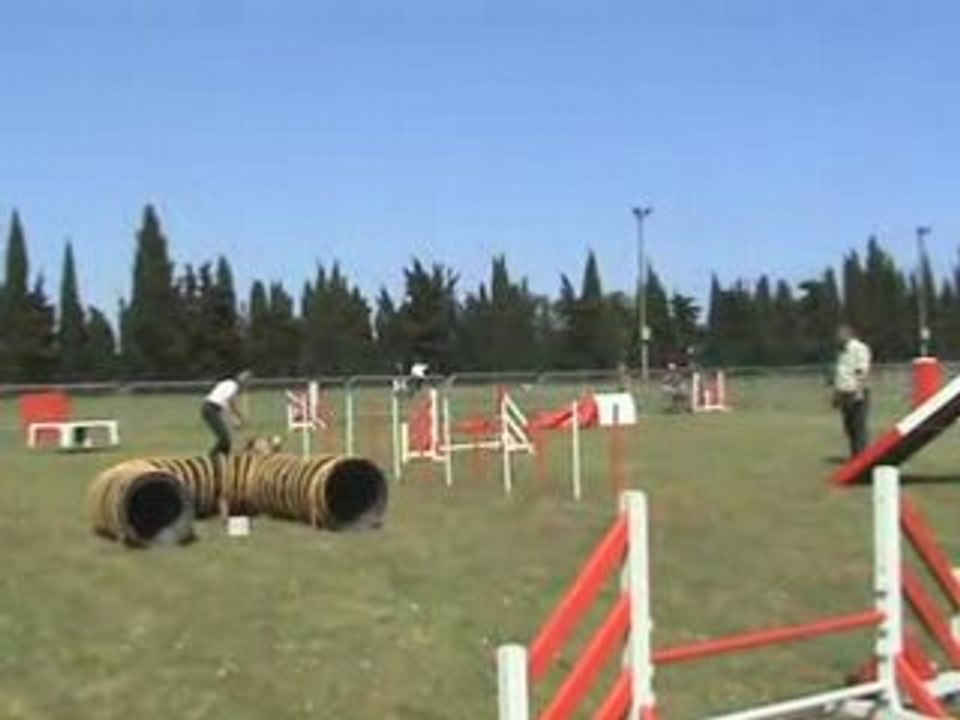 Carcassone 01mai08 Alien 1D