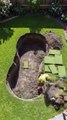 Amazing Koi pond DIY