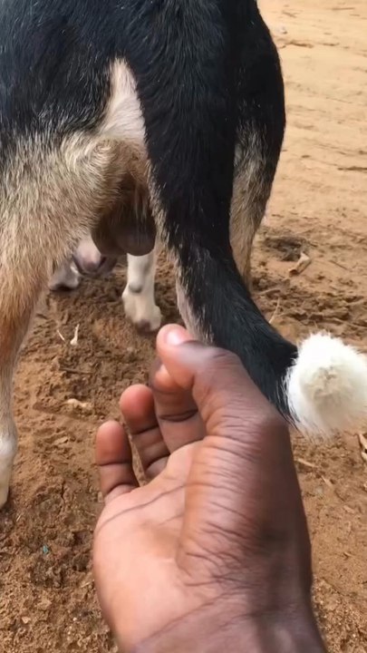 Bu yapılır mı ya 😂