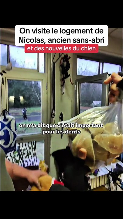 Il y a deux mois Nicolas a perdu son chien, compagnon de toujours.
