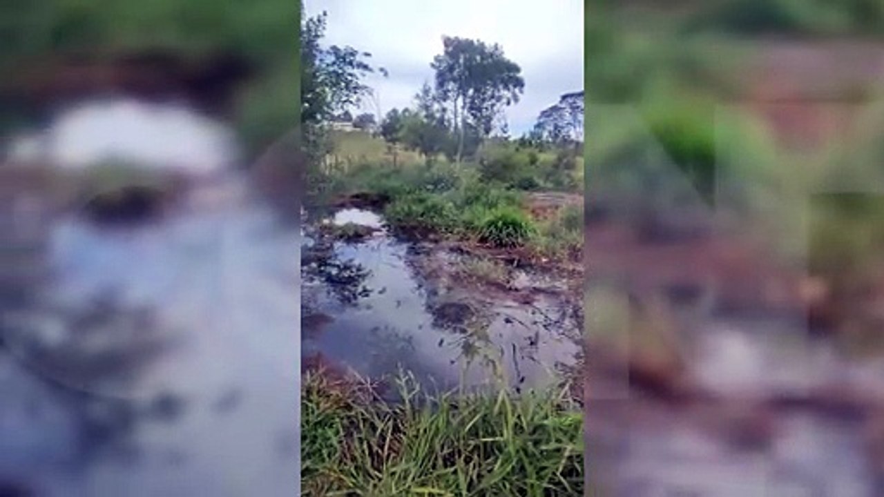 Moradores denunciam esgoto a céu aberto no Loteamento Belmonte, em Cascavel