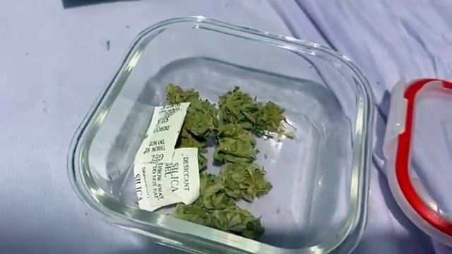 Casal é preso em flagrante por tráfico de drogas durante operação na Ilha de Superagui