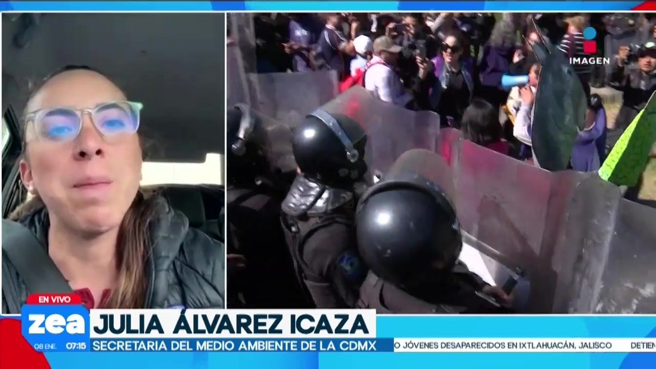 Asegura que perritos desalojados del Refugio Franciscano presentaban maltrato y desnutrición