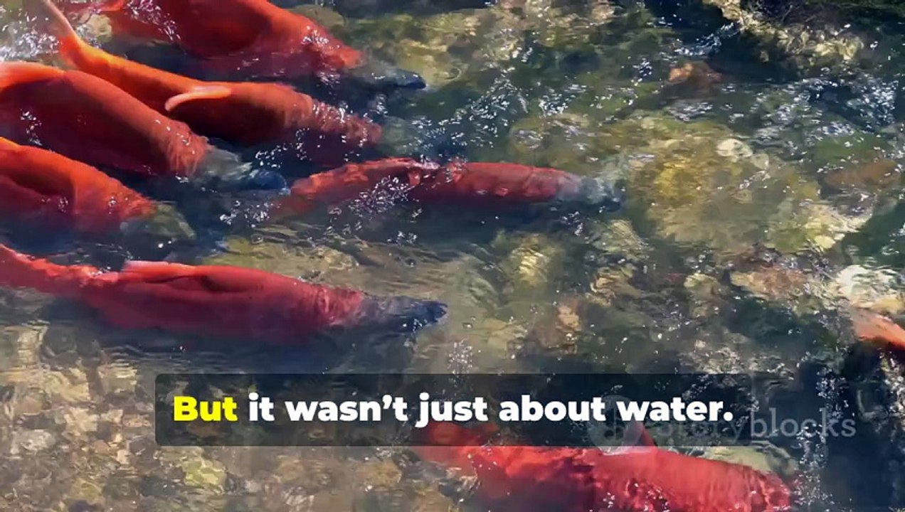 America’s $500 Million Dam Project Has a Hidden Risk No One Is Talking About