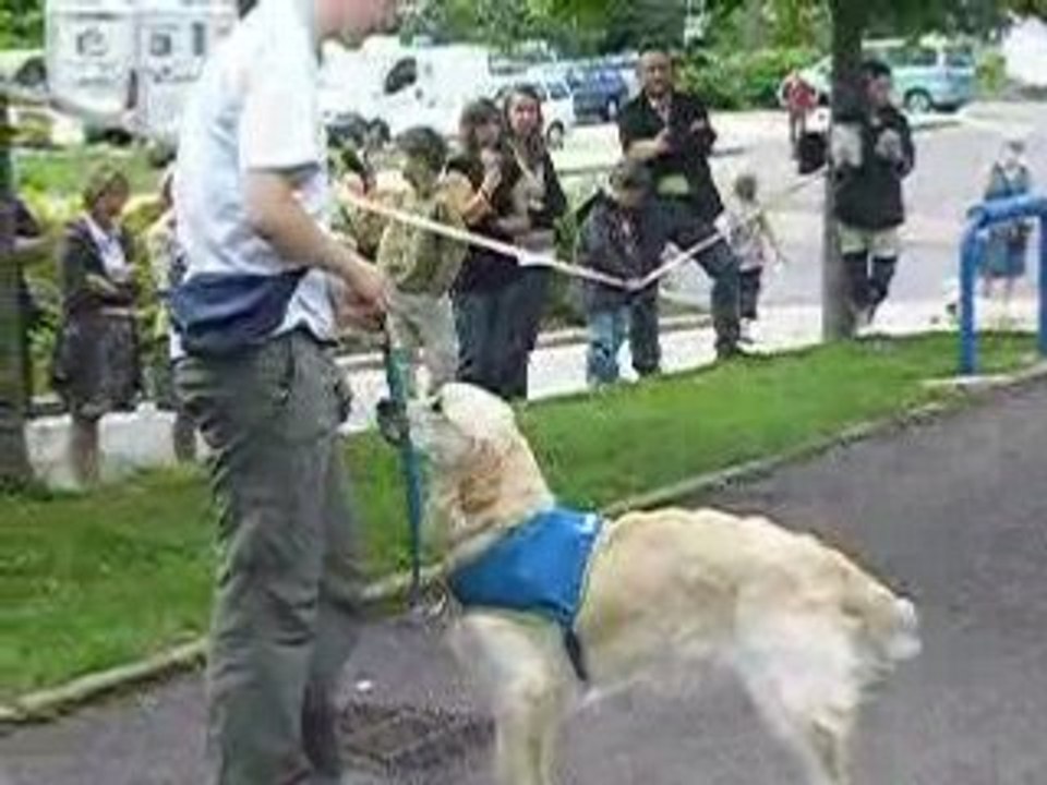 Présentation de Handi Chien