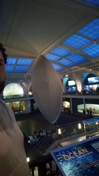 Le musée d'histoire naturelle à New York ! EP.11 #USA #NewYork #NYC