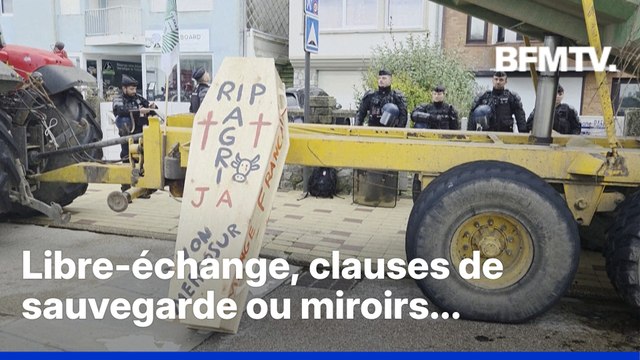Colère agricole: pourquoi les agriculteurs se mobilisent contre le traité du Mercosur