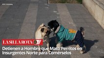 Maltrato Animal en CDMX: Sujeto Mata Perritos y es Detenido por la Policía