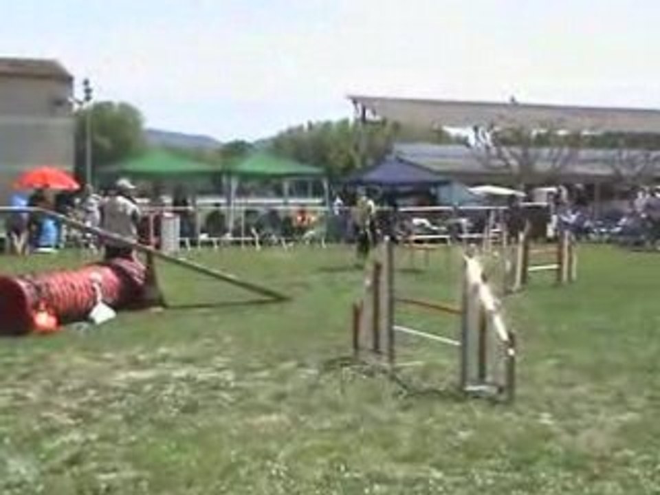 Chpt Regional 08 Stecy 3d