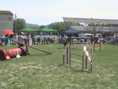 Chpt Regional 08 Stecy 3d