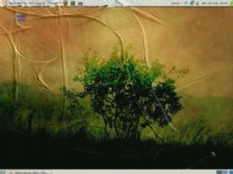 Ubuntu 8.04 + Compiz-Fusion