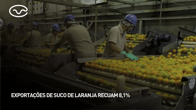 Exportações de suco de laranja recuam 8,1%