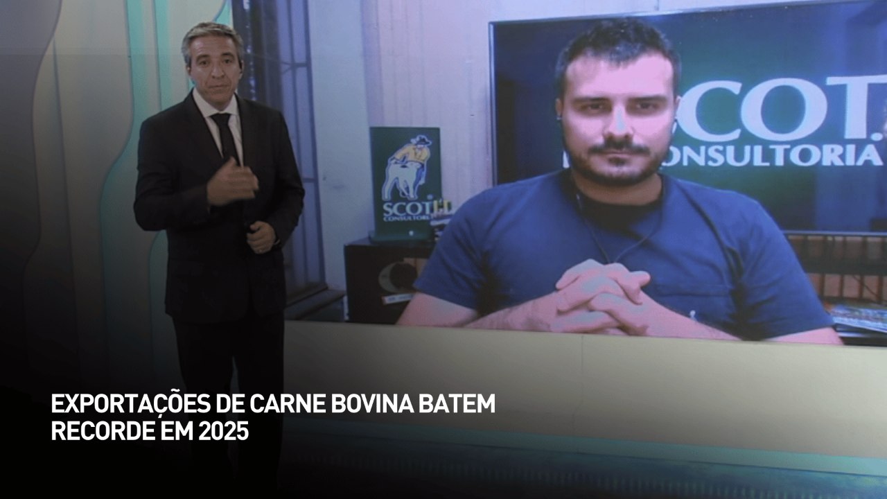 Exportações de carne bovina batem recorde em 2025