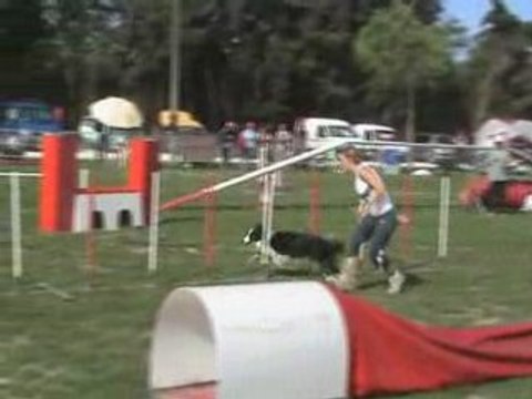 Chpt regional 08 Marge 2D