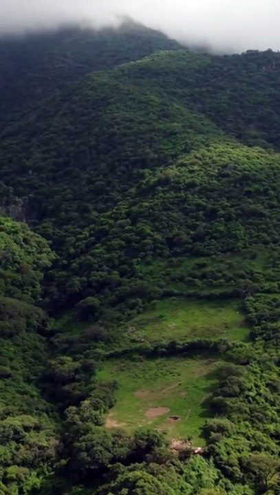 “Chasing the Sunlight” - Musique AMIS