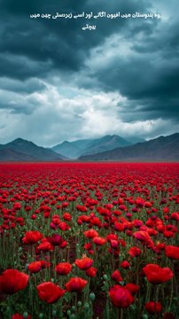 وہ صحافی جس نے ایسٹ انڈیا کمپنی کو تباہ کر دیا | The Man Who Destroyed East India Company