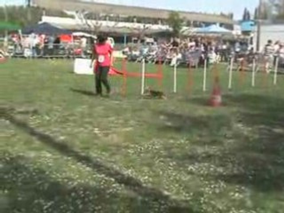 Chpt Regional 08 Topaze Jumping