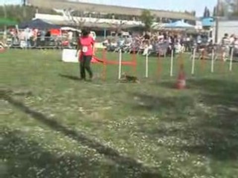 Chpt Regional 08 Topaze Jumping