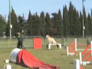 Carcassonne 01MAI08 Maelle Open