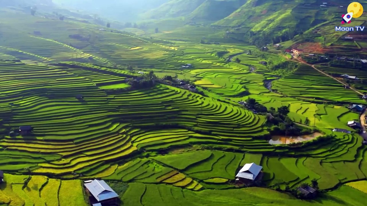 Zen Meditation Music For Healing And Relaxation - Calming Sounds For Mindfulness Practice