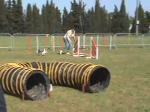 Carcassonne 01MAI 08 Sylvie Open