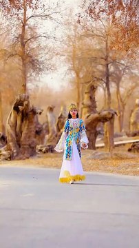 Desert Dreams Under Golden Sun