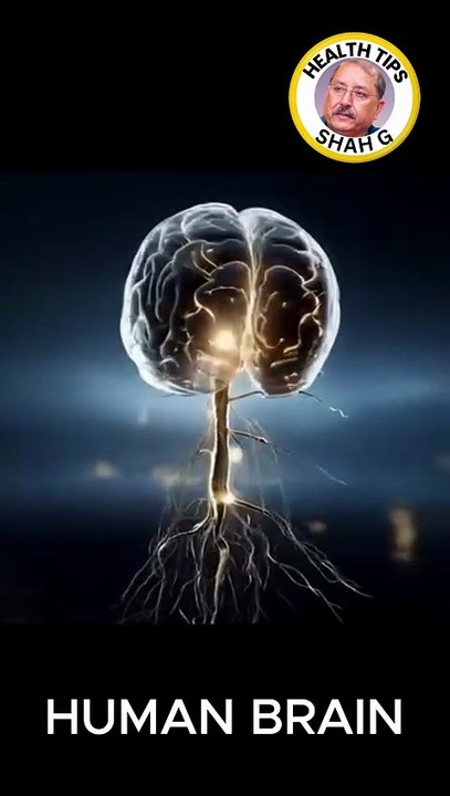 The SECRET Life of Your Brain Revealed!