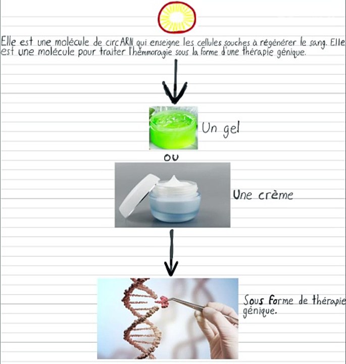 Une thérapie génique pour traiter l’hémorragie