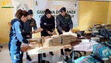 Oltre 2 tonnellate di cocaina sequestrate al porto di Genova