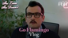 Go Flamingo Vlog #66