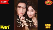 Contrato de amor (doblado) Completo en Español