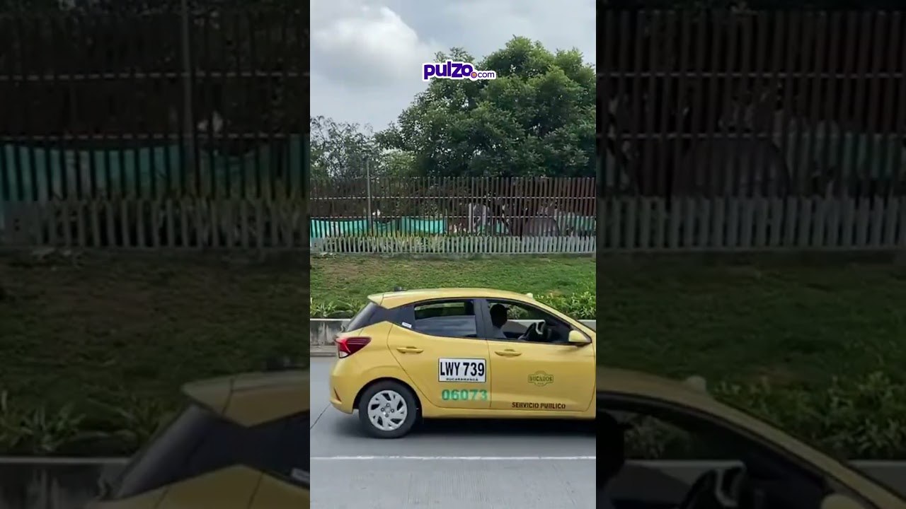 #alcalde de #bucaramanga puso a preso a pintar calles y sembrar árboles | Pulzo