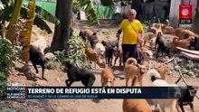 Refugio Franciscano enfrenta disputa legal y acusación por maltrato animal