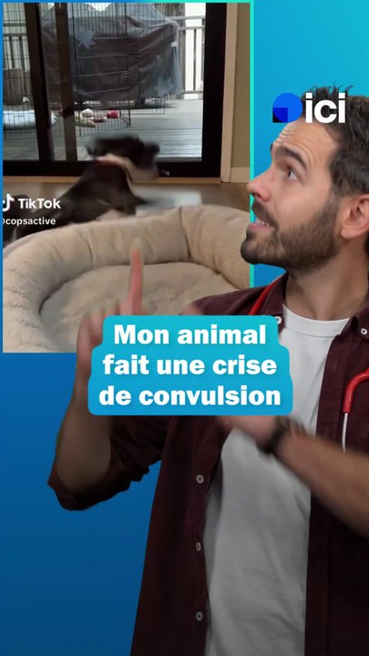 Convulsions, épilepsie, comment réagir ? - les conseils du Dr Fabing