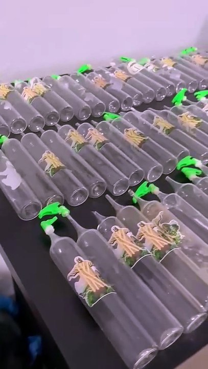 PM desarticula esquema de tráfico e produção ilegal de entorpecentes em Camboriú