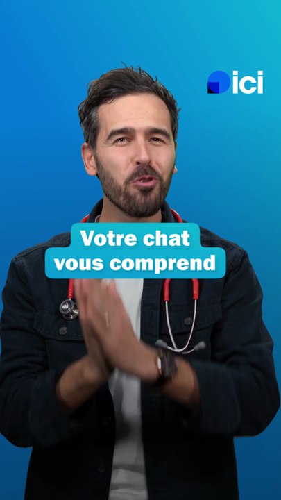 Votre chat vous comprend, mais il s'en fiche - les conseils du Dr Fabing