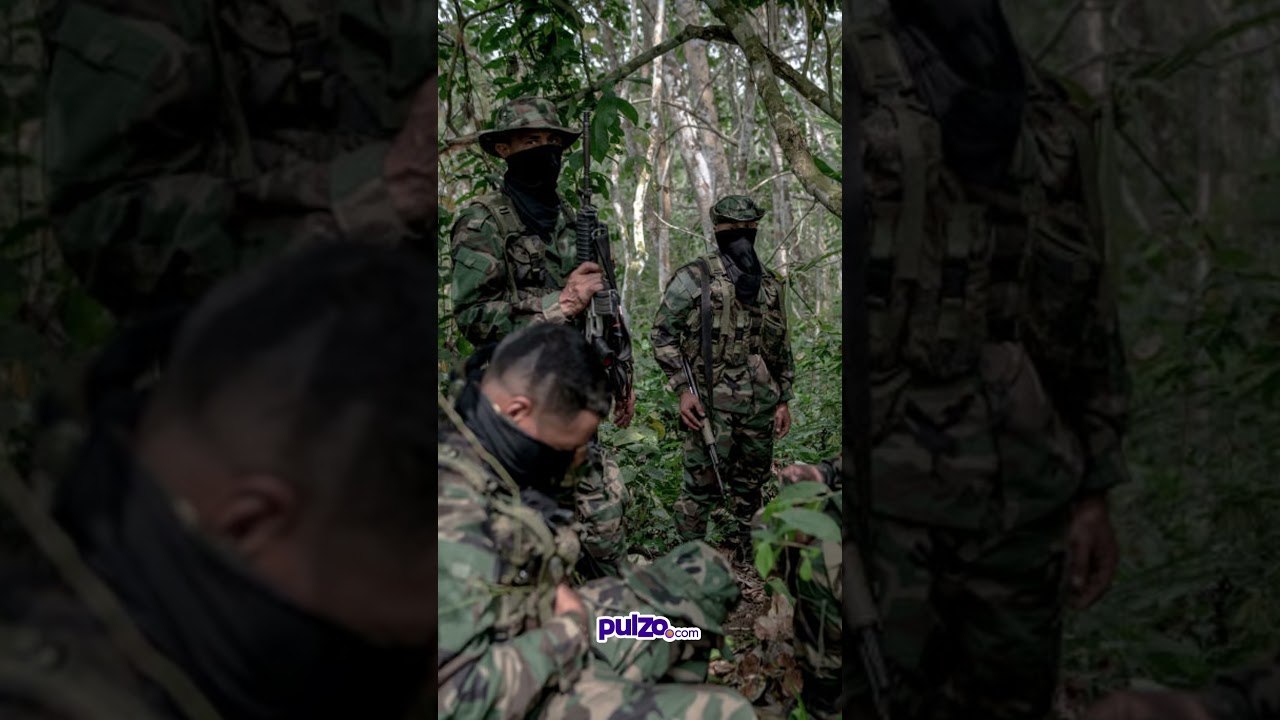 'Lucho' Herrera confesó que pagó a paramilitares en 2016 | Pulzo