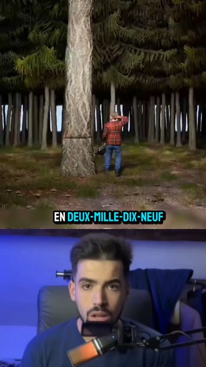 Arbre massif tomber