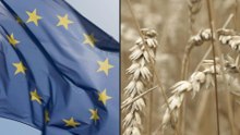 EU stimmt Mercosur-Abkommen zu – wie es jetzt weitergeht