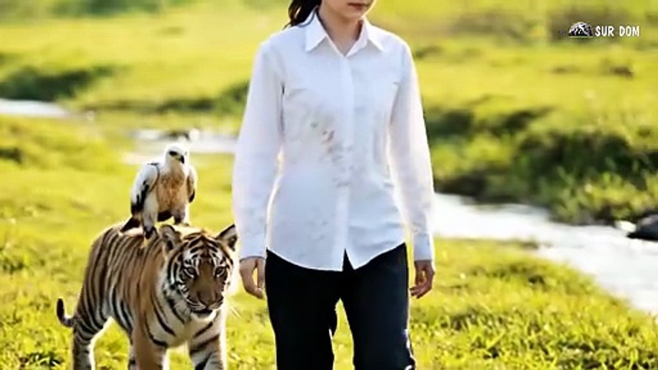 Part 63 - A Girl Alone Surviving In The Forest - Forging a Knife from Raw Iron for Forest Survival - YouTube