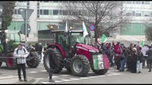 Trattori in piazza a Milano contro l'accordo Ue-Mercosur